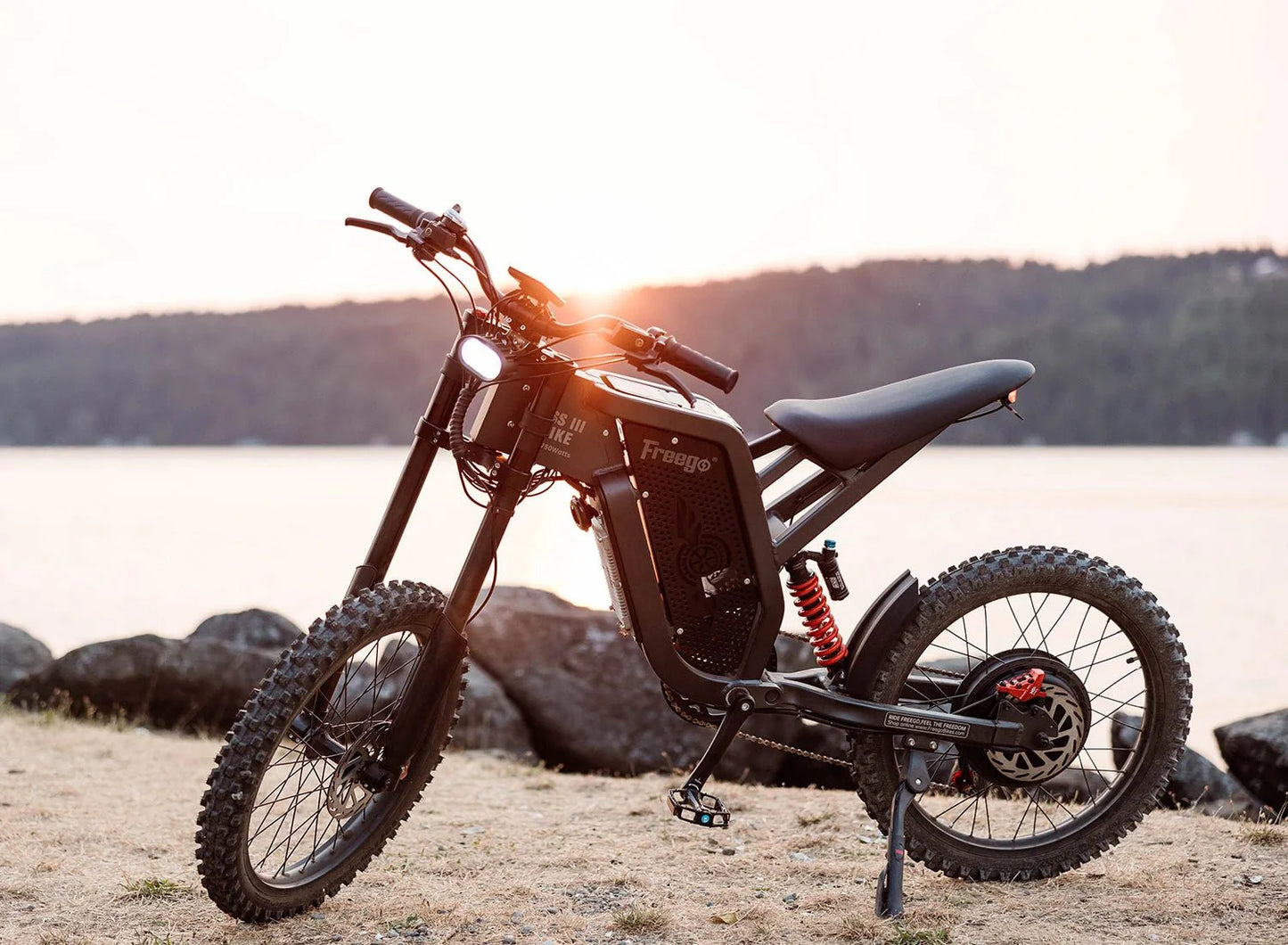 Freego X2 Off Road Dirt Electric Mountain Bike