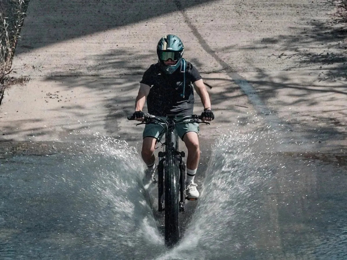 D7 Pro(Cobra Pro) / Softail Electric Mountain Bike