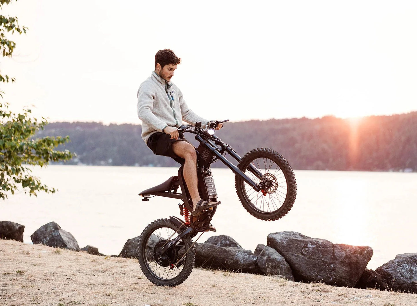 Freego X2 Off Road Dirt Electric Mountain Bike